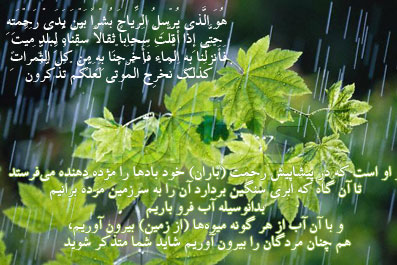 س: کشاورزان مسلمان به هنگام قحطی نماز باران می‌خوانند. آیا خداوند به خاطر نماز و دعا قوانین طبیعت را تغییر می‌دهد؟