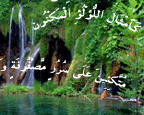 س – کارشناس علوم اجتماعی/ گرگان: چرا در قرآن و آموزههای دینی، ازدواج با حوریان بهشتی فقط به مردان وعده داده شده است، آیا برای زنان چنین نعمتی نیست؟