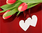 مقام معظم رهبری: بایدهای آرامش، شادابی و موفقیت در زندگی مشترک - شما چه کار می‌کنید که گل محبت در دل همسرتان بروید؟